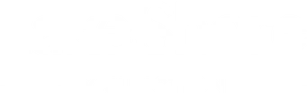 Lake Shore Y Junction