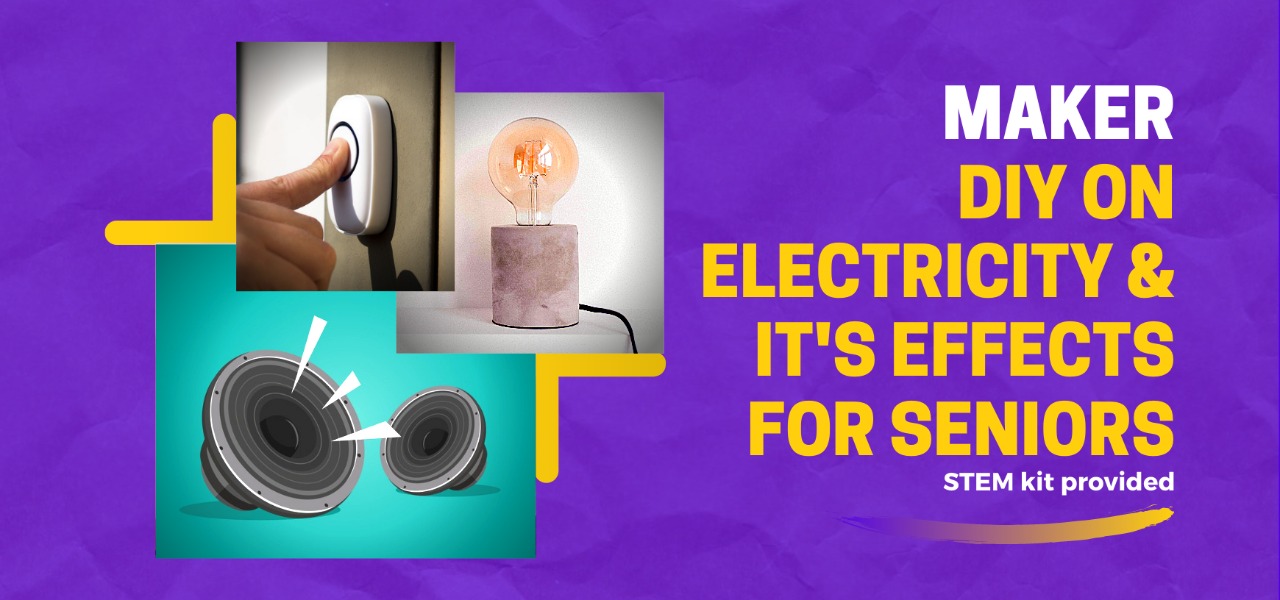 Age 12+ MAKER online course (Electricity and its effects)