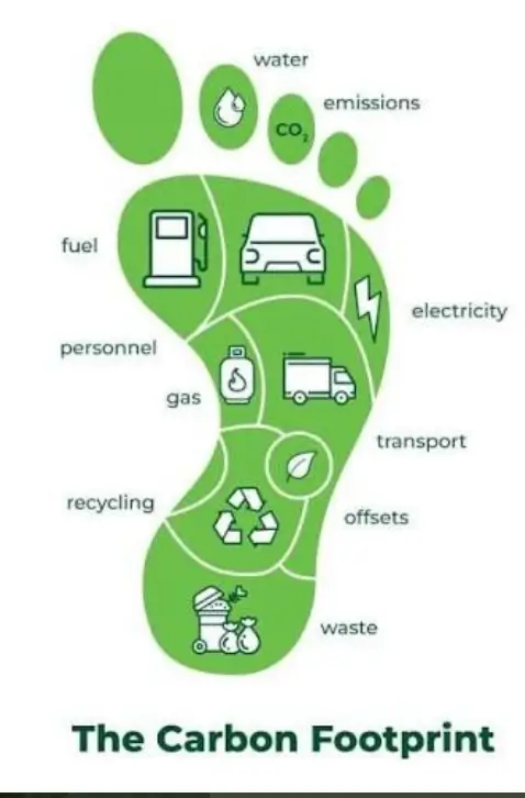 Eco friendly habits and green environment