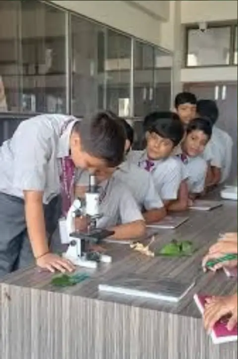 Child observing leaf under microscope