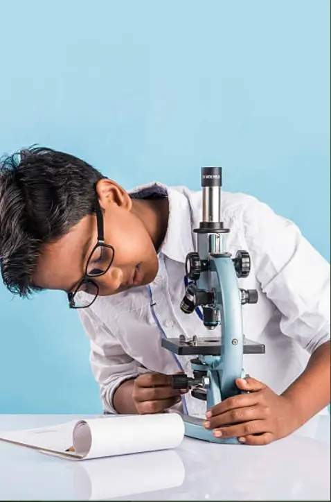 Plant leaf stomata science activity