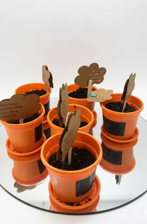 Children caring for plants during Van Mahotsav