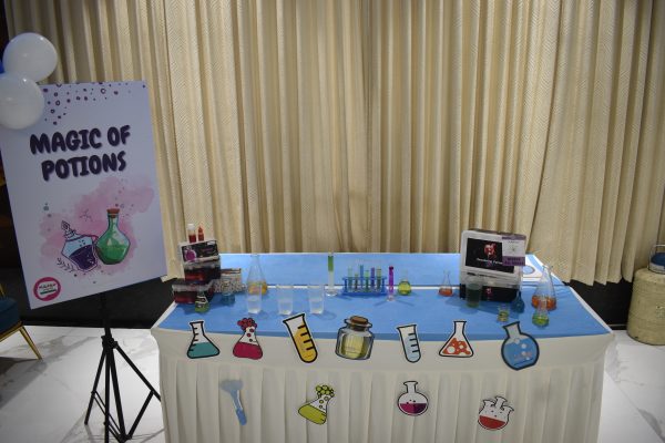 Themed Birthday party setup
